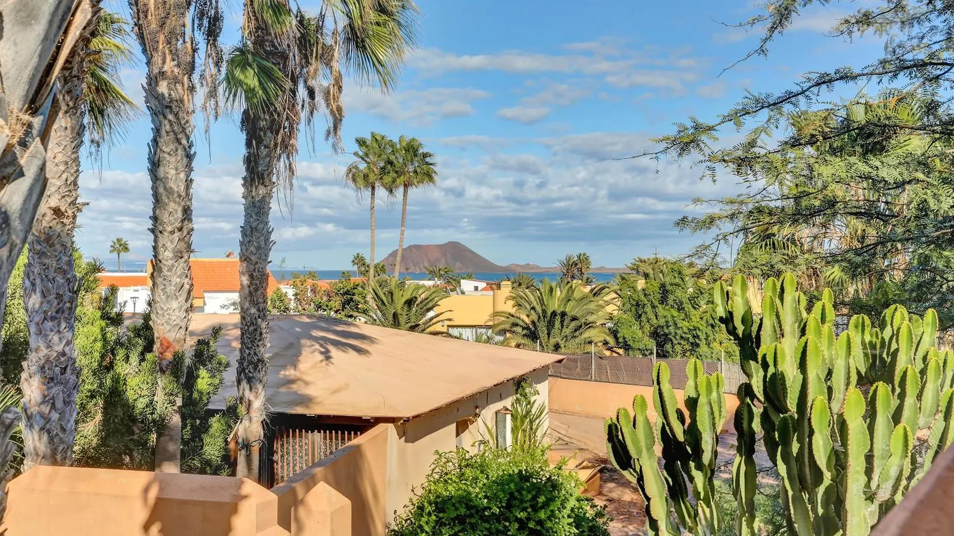 Oasis Duna-Pistacho Dreams Pool Corralejo 0*,